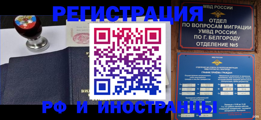 временная регистрация поиск в Сольцах
