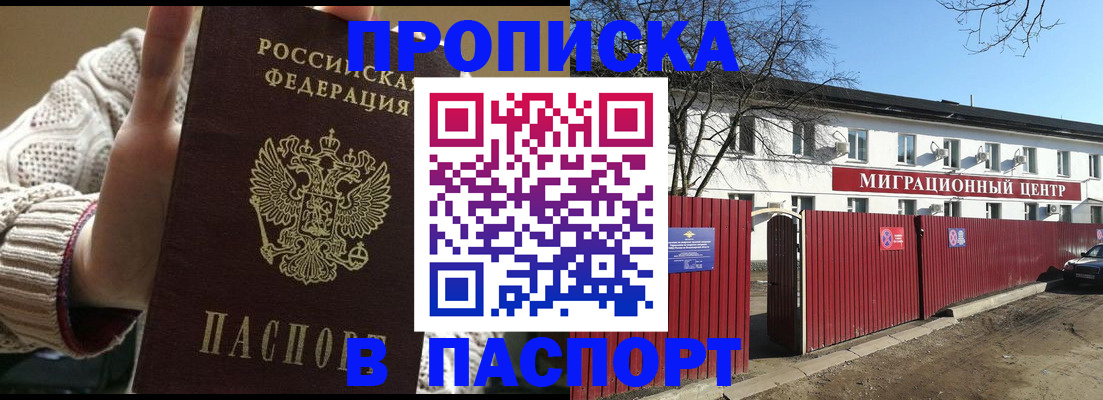 временная регистрация поиск в Сольцах